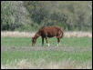 Georgetown, Texas - April 2003
