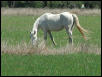 Georgetown, Texas - April 2003