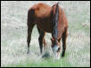 Georgetown, Texas - April 2003