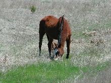 Georgetown, Texas - April 2003