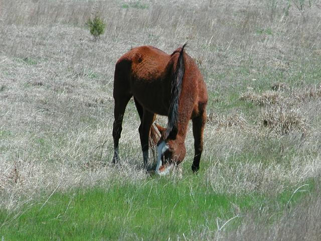 Georgetown, Texas - April 2003