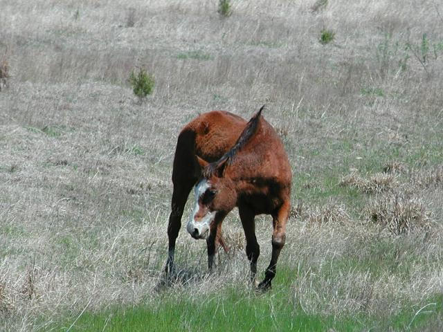 Georgetown, Texas - April 2003