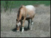 Georgetown, Texas - April 2003