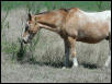 Georgetown, Texas - April 2003