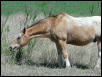 Georgetown, Texas - April 2003