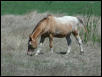 Georgetown, Texas - April 2003