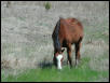 Georgetown, Texas - April 2003
