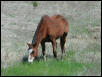 Georgetown, Texas - April 2003