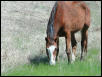 Georgetown, Texas - April 2003