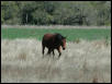 Georgetown, Texas - April 2003