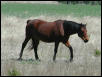 Georgetown, Texas - April 2003