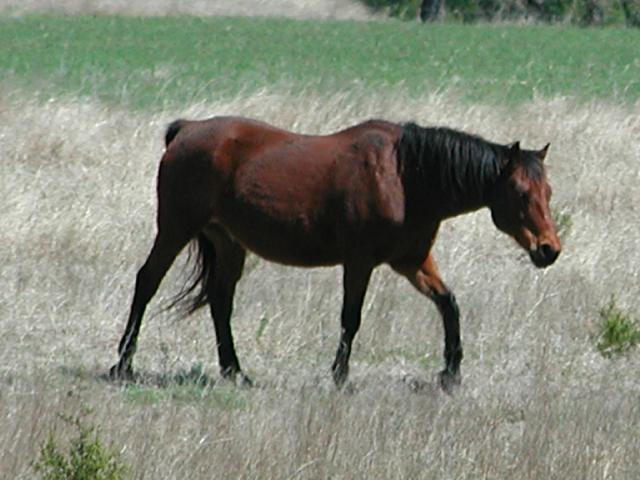 Georgetown, Texas - April 2003
