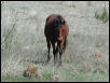 Georgetown, Texas - April 2003