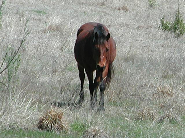 Georgetown, Texas - April 2003