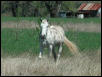 Georgetown, Texas - April 2003