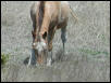 Georgetown, Texas - April 2003