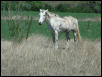 Georgetown, Texas - April 2003
