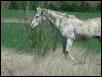 Georgetown, Texas - April 2003
