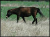 Georgetown, Texas - April 2003