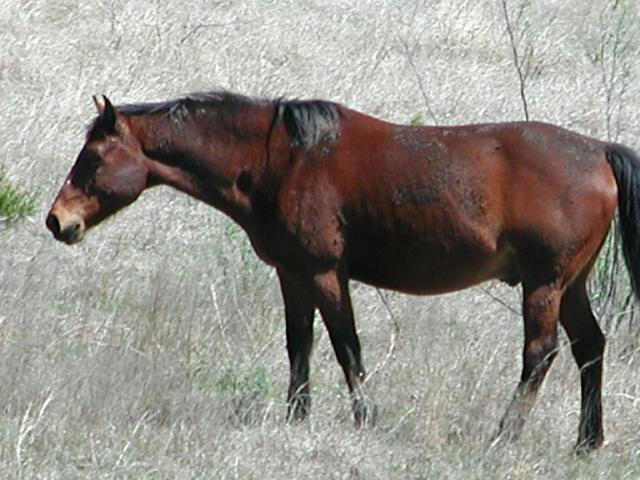 Georgetown, Texas - April 2003