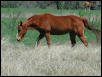Georgetown, Texas - April 2003