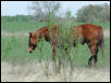 Georgetown, Texas - April 2003
