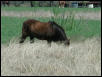 Georgetown, Texas - April 2003