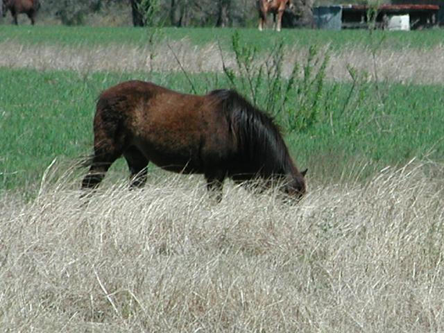 Georgetown, Texas - April 2003