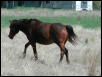 Georgetown, Texas - April 2003