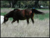 Georgetown, Texas - April 2003
