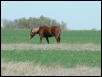 Georgetown, Texas - April 2003