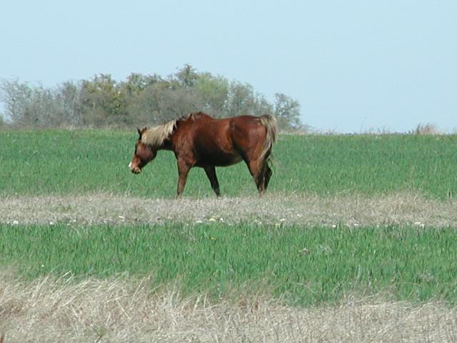 Georgetown, Texas - April 2003