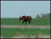 Georgetown, Texas - April 2003