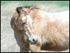 Georgetown, Texas - April 2003