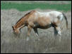 Georgetown, Texas - April 2003