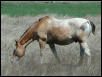 Georgetown, Texas - April 2003