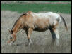 Georgetown, Texas - April 2003