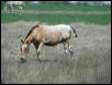 Georgetown, Texas - April 2003