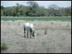 Georgetown, Texas - April 2003