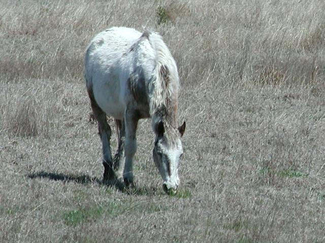 Georgetown, Texas - April 2003