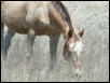 Georgetown, Texas - April 2003
