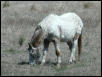 Georgetown, Texas - April 2003