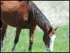 Georgetown, Texas - April 2003