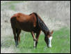 Georgetown, Texas - April 2003