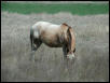 Georgetown, Texas - April 2003