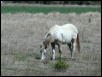 Georgetown, Texas - April 2003