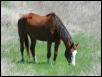 Georgetown, Texas - April 2003
