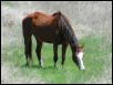 Georgetown, Texas - April 2003