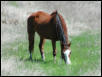 Georgetown, Texas - April 2003