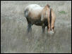 Georgetown, Texas - April 2003